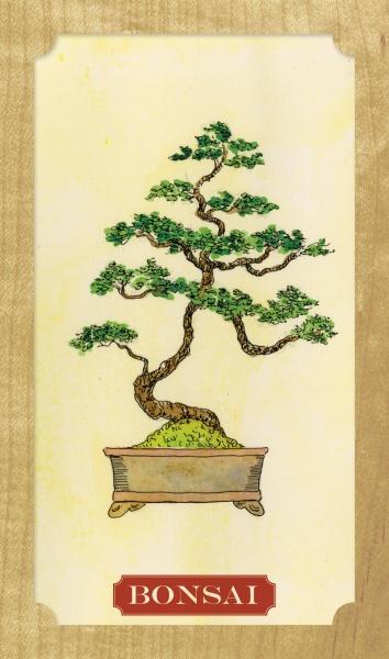 The Tree of Life Oracle Cards